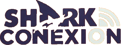 Shark Conexión